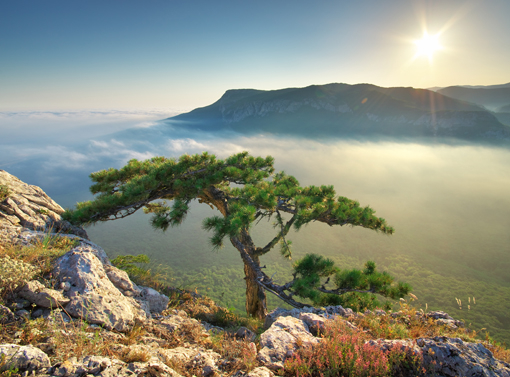 Natura