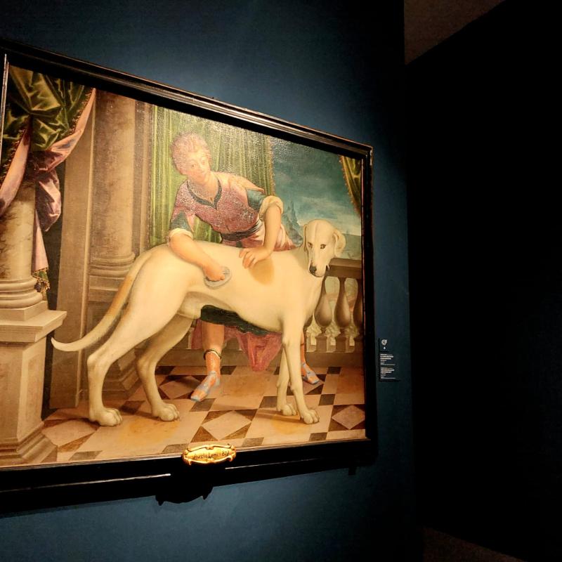 Rubens 21