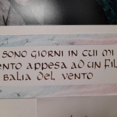 Img 20230515 Wa0010
