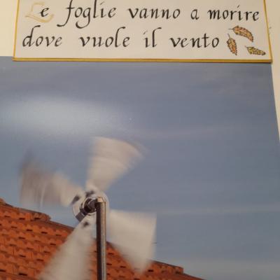 Img 20230515 Wa0013