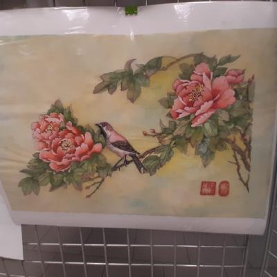 Img 20230511 Wa0050