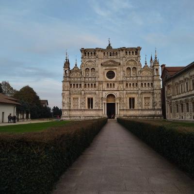 PAVIA e CERTOSA - 12 nov 24